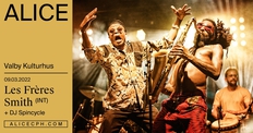 Les Frères Smith (INT) + DJ Spincycle