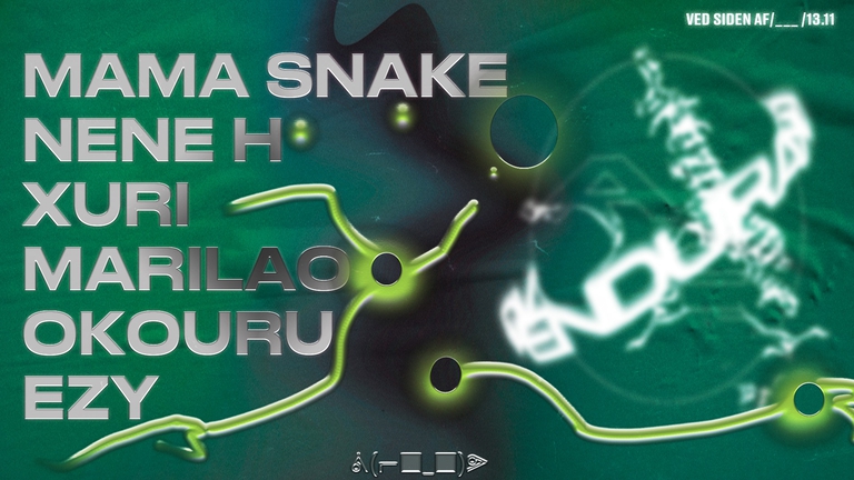 Endurance x Amniote Editions