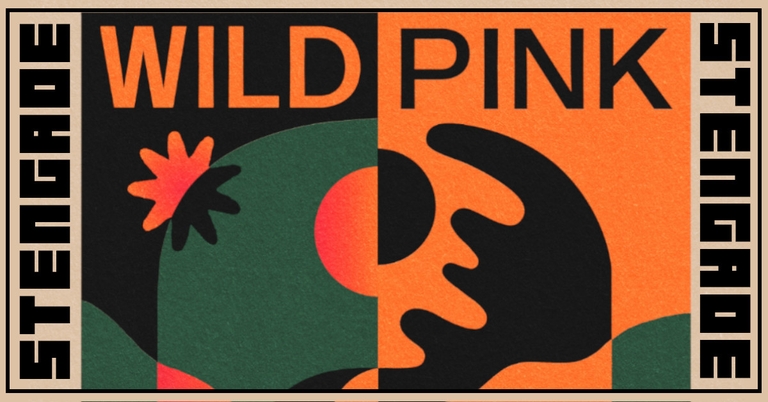 Resonans Fringe Festival: Wild Pink [US] + Support: M.Byrd [DE] + Dusk Rituals