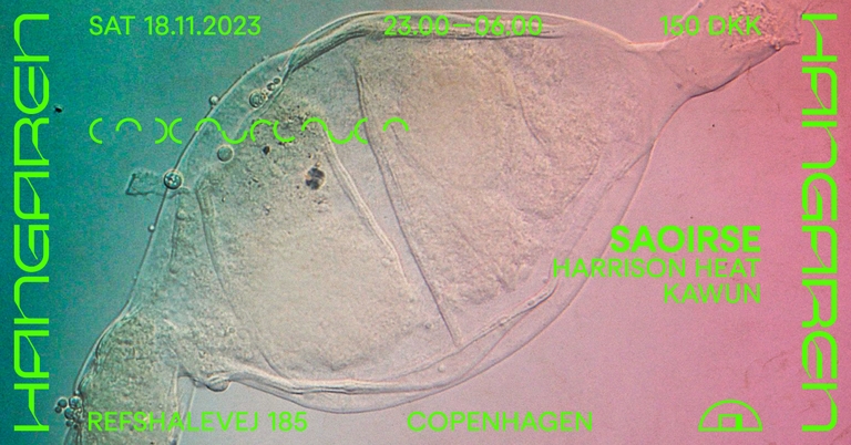 Hangaren: Saoirse (IE), Harrison Heat, Kawun