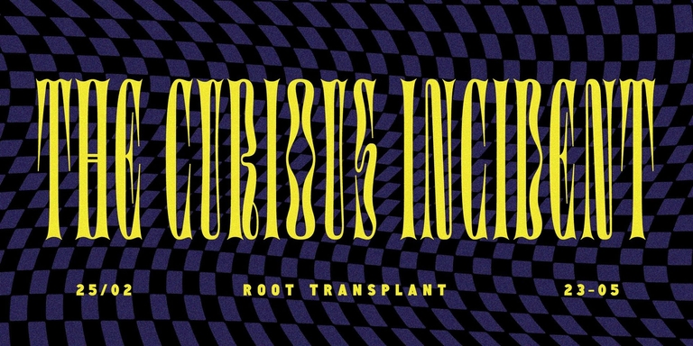 Root Transplant w/ The Curious Incident