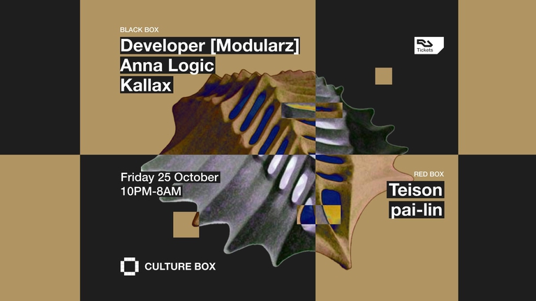 Developer (Modularz) / Anna Logic / Kallax / Teison / pai-lin