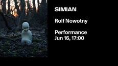 Art Bar / Performance - Rolf Nowotny