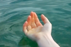 FERNISERING: KBH FILM & FOTOSKOLE