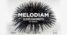 MELODIAM - Olivier Giacomotto