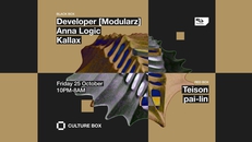 Developer (Modularz) / Anna Logic / Kallax / Teison / pai-lin