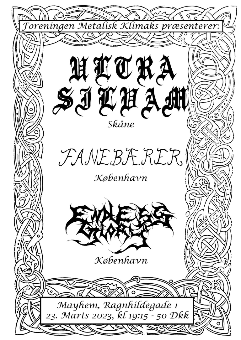 Koncert med Endless Glory, Ultra Silvam og Fanebærer