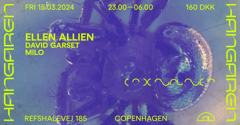 Ellen Allien (DE), Milo, David Garset