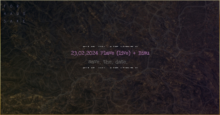 For Haus' Sake w/ Flave (live) + bīsu