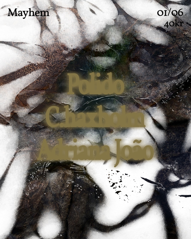 Polido/Adriana João/ C.haxholm