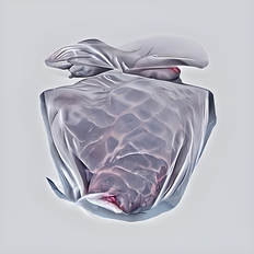 Rhizomatic Extensions | Lucas Chikhieo · Skarv · Xenia Xamanek · Lyra Valenza