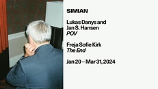 Opening: Lukas Danys and Jan S. Hansen - POV, Freja Sofie Kirk - The End