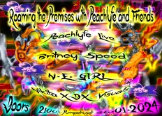 Peachlyfe and Friends // Pumpehuset