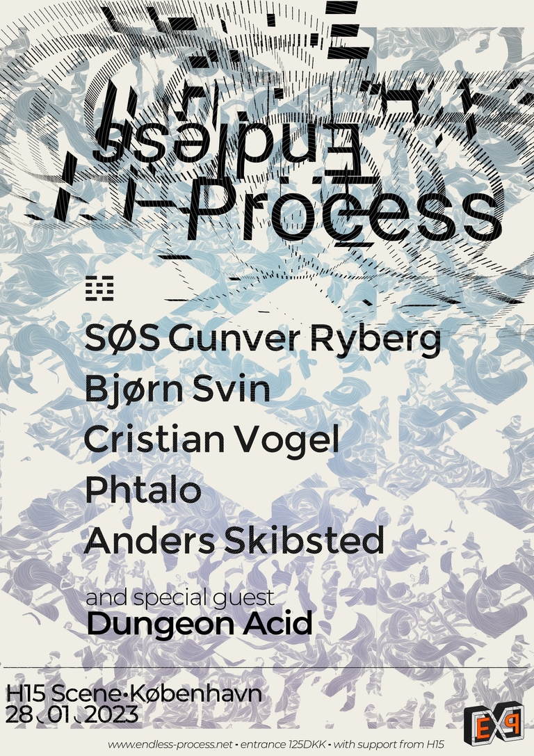 Endless Process // Label Night // SØS Gunver Ryberg ~ Bjørn Svin ~ Cristian Vogel ~ Phtalo ~ Anders