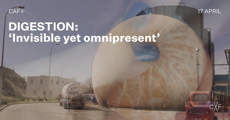 DIGESTION: 'Invisible yet omnipresent'