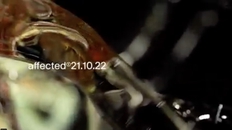 Affected ⥋ Ved Siden Af