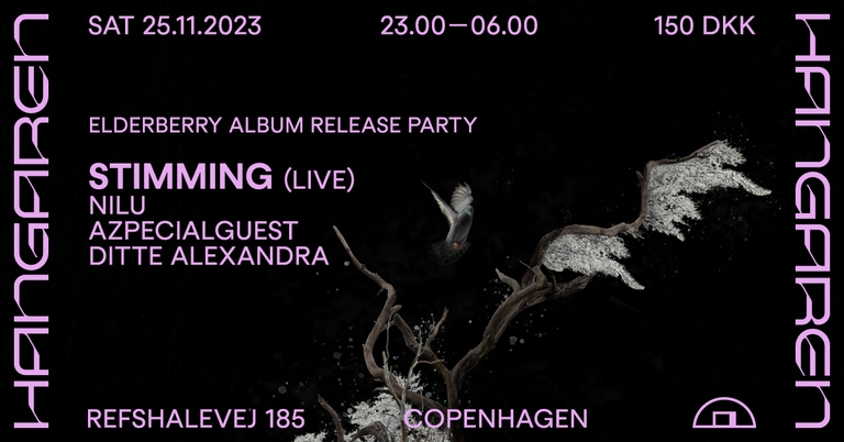 Stimming (live) - Elderberry Album Release Party