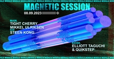 MAGNETIC SESSION X MODULE
