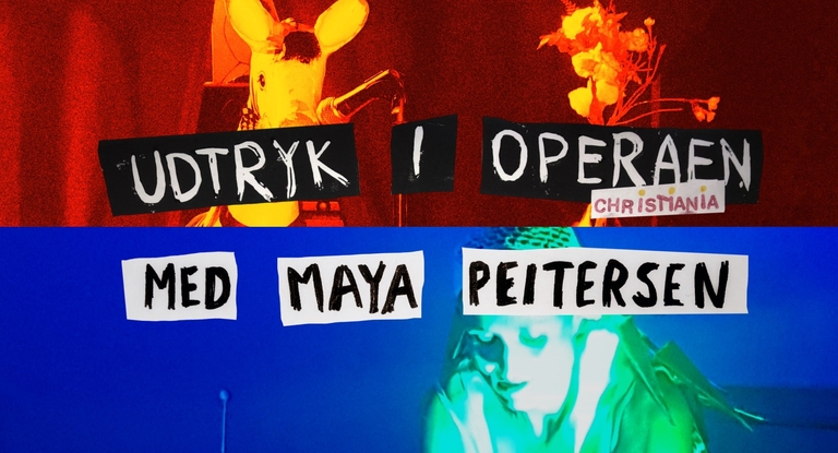UDTRYK I OPERAEN (SPECIAL EDITION)