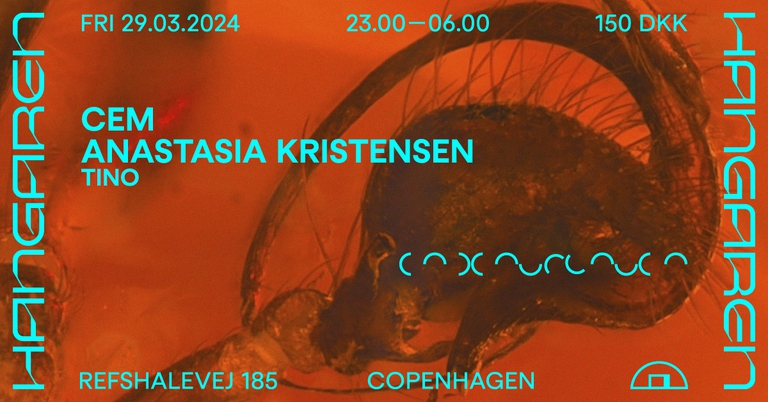 CEM (Herrensauna), Anastasia Kristensen, Tino
