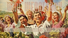 Wine Wednesday #4: Alin // Martin Gilleshøj // Ricq