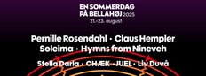 En Sommerdag på Bellahøj