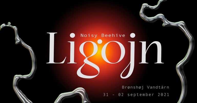 Ligojn x Noisy Beehive - Interdisciplinary Gathering | Brønshøj Vandtårn
