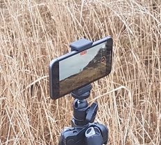 Claus Haxholm: Variables of Uncertainty