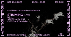 Stimming (live) - Elderberry Album Release Party