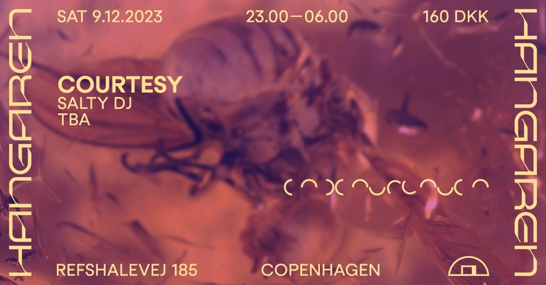 Hangaren: Courtesy (DK), Salty DJ (DE), Tba