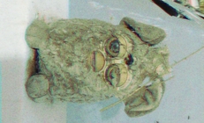 Totentanz x Kalabalik på Tyrolen Warm Up x Albert Severin x Ætervader