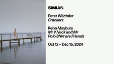 Opening: Peter Wächtler - Crackers, Reba Maybury - Mr V Neck and Mr Polo Shirt are Friends