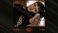 Hangaren: SPFDJ (SE, Herrensauna), Peachlyfe, Neri J