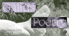 Gallus (UK) + Poetry (SE) at Basement CPH
