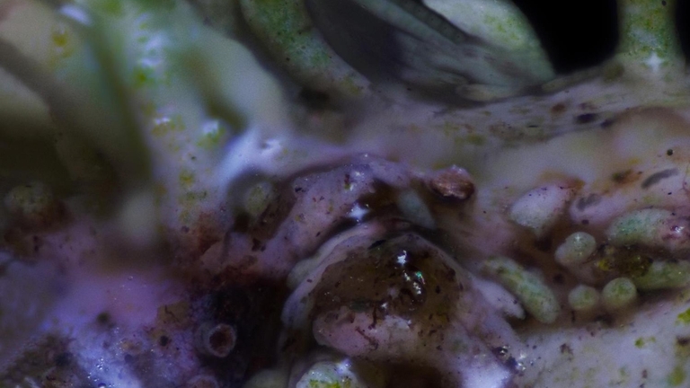 MINU 2022 | Lost in Data