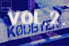 Pop-up Rave Vol. 2. (Meatpacking District)