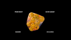 Prom Night & David Garset