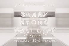 POLYMER VEIL · Skarv/Ryong/Soli City