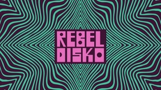 REBEL DISKO w/ DingoTracks & Storm