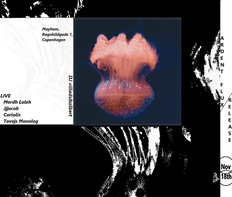 Ardent Flux release// Merdh Laleh, jjjacob, Coriolis, Tovejs Monolog LIVE// Mayhem