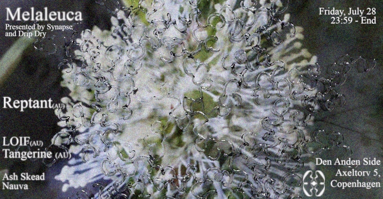 Synapse x Drip Dry Present: Melaleuca @ Den Anden Side