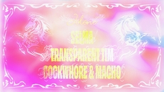Selma, Cockwhore & Macho, Transparent Tim