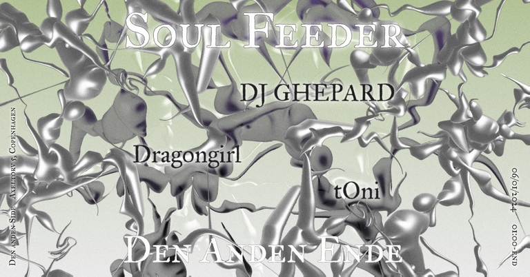 Soul Feeder @ Den Anden Ende