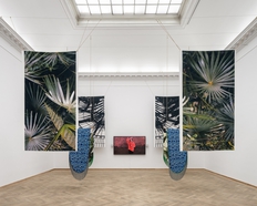 Talk: Kolonialisme i botanikkens historieskrivning