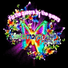 metamorphosis presents the festival