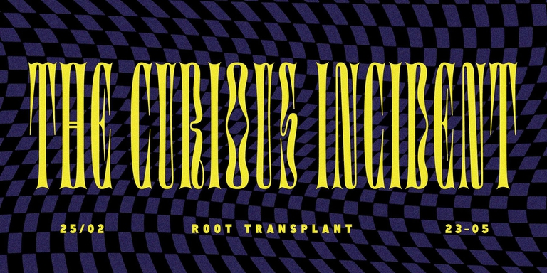 Root Transplant w/ The Curious Incident