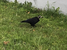 K-TOWN / UTEUS MATINÉE