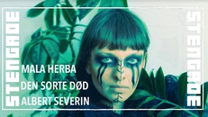 Mala Herba [PL] + Den Sorte Død [DK/SE] + Albert Severin
