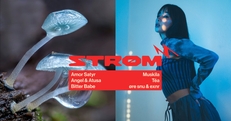 Strøm Festival 2023: Down the Rabbit Hole with ALICE