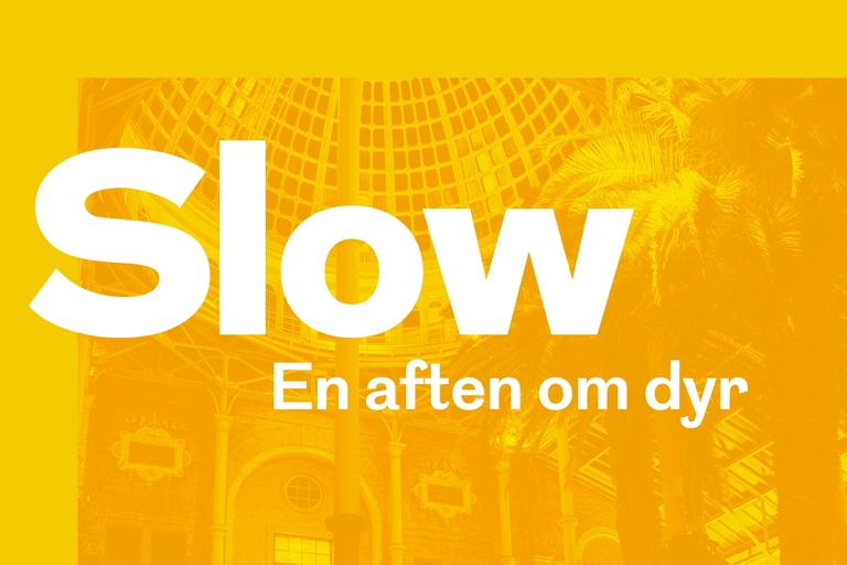 Slow — en aften om dyr
